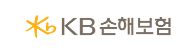 KB손해보험